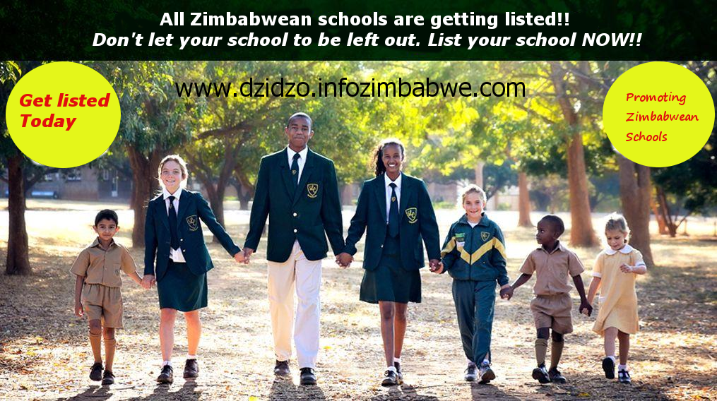 InfoZimbabwe.com tweet media
