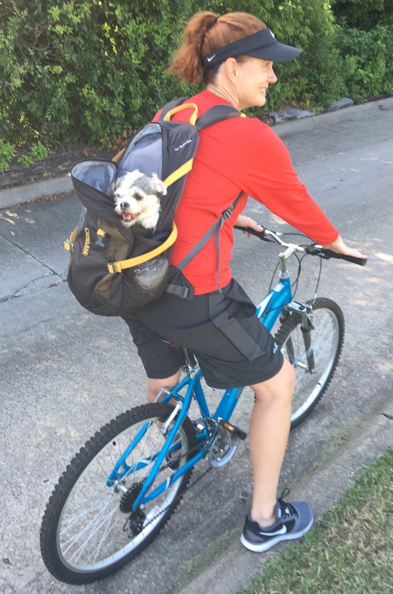 LisaDarkBooks's tweet photo. Adventure with my pups. Check out my ebook STOP TOUCHING ME on Amazon and read about our adventures! https://t.co/KjSIQmrx2T
