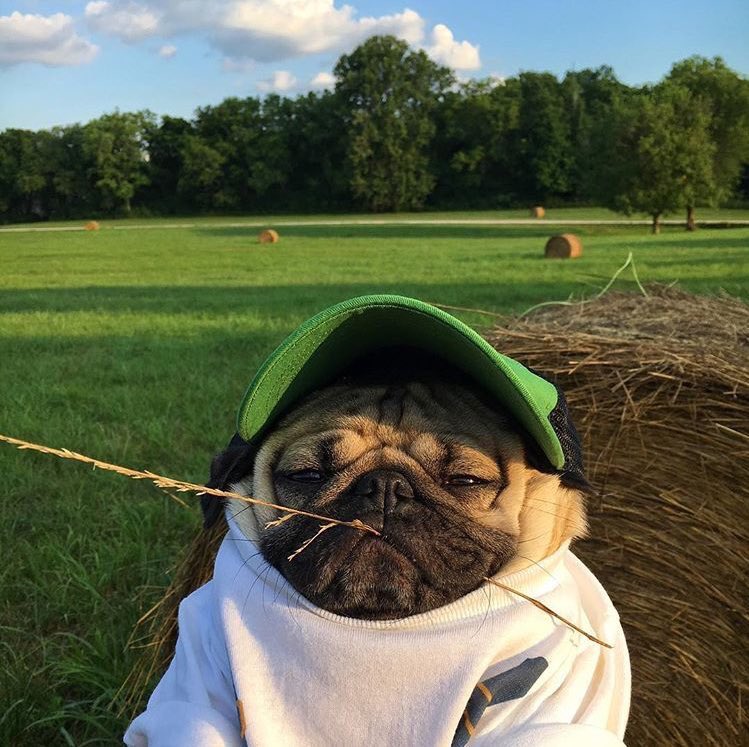 LeviJonesUpdate's tweet image. Levi Jones posted these