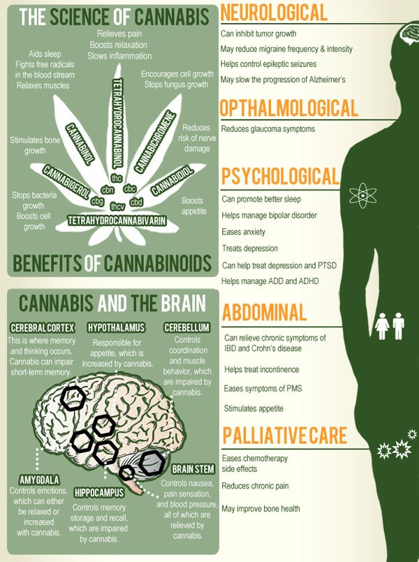 VegasWeedReview's tweet photo. The benefits of cannabinoids. Mind &amp; Body https://t.co/baadQmrElS #vegasweed #cannabiscures https://t.co/QstjgWQ7LC