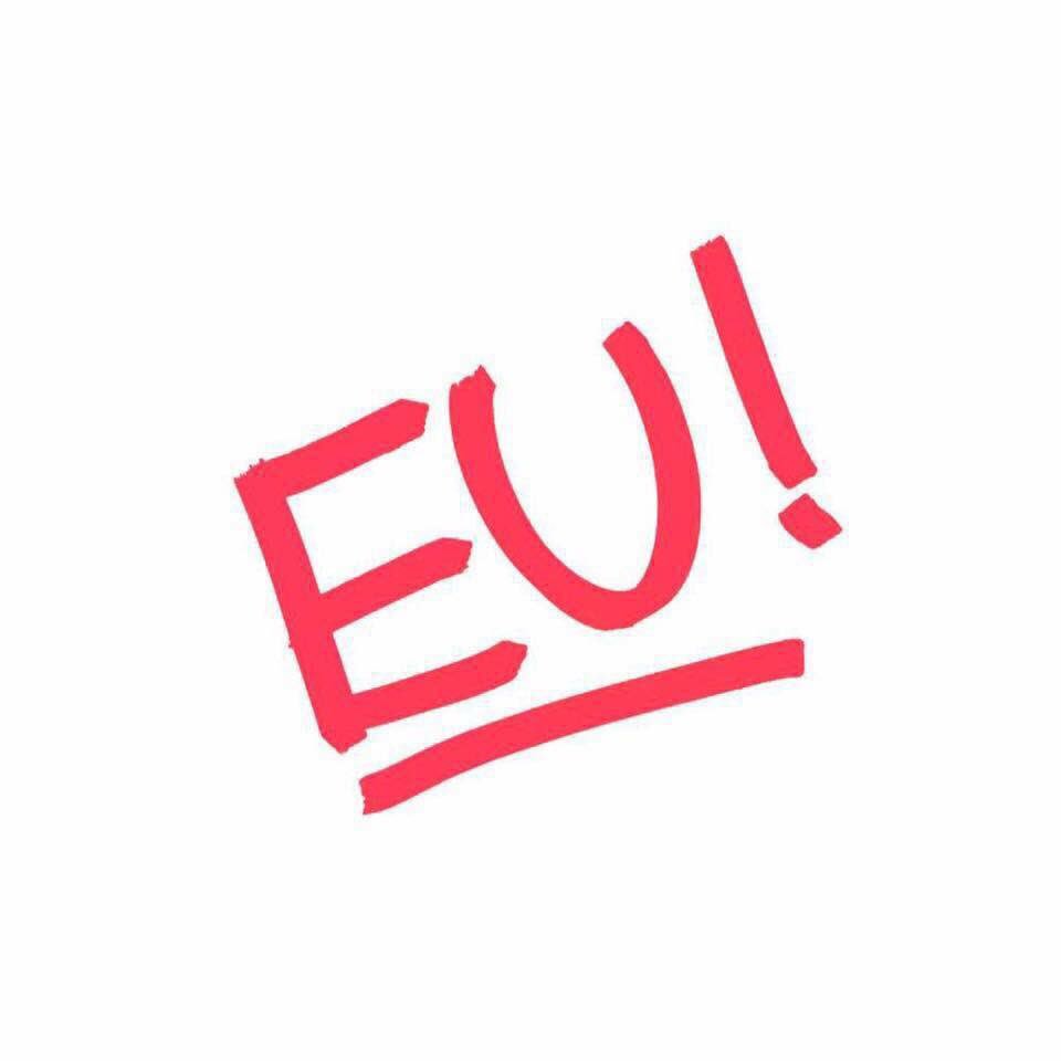 FraserAhrt's tweet photo. I see heaps of 'REMAIN' PR on houses, but little to no 'LEAVE' posters. Are they embarrassed? #Remain https://t.co/H91eYZR9tX