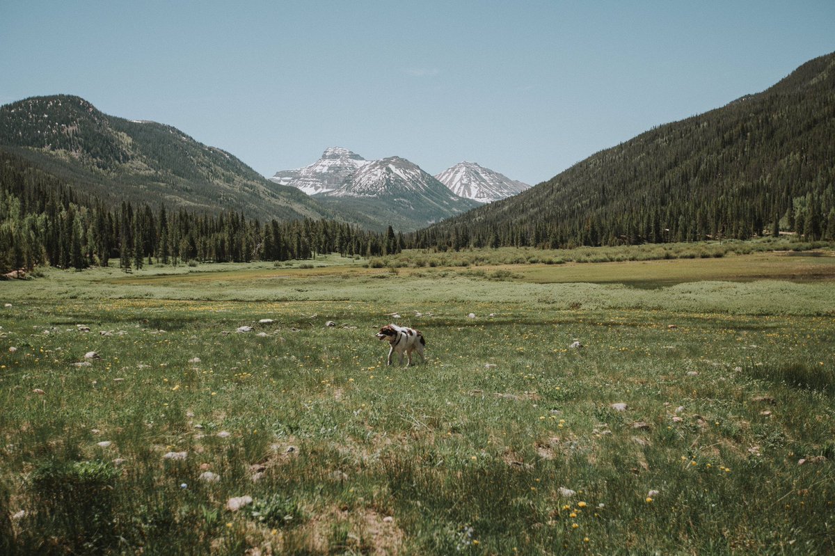 __greensilk's tweet photo. My favorite places in northern Utah. https://t.co/d3P6MYgYs0