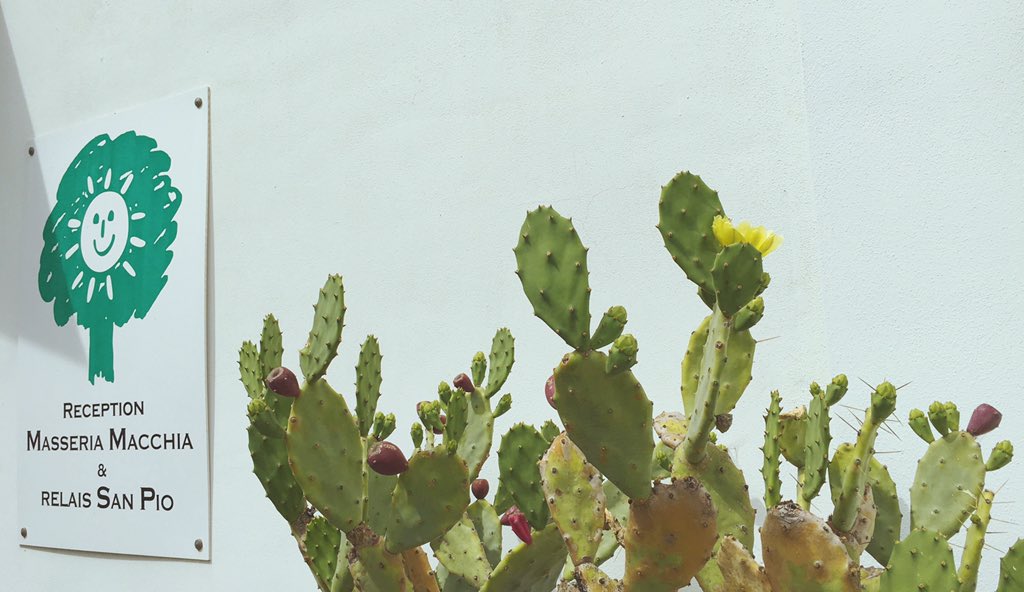 Masseria Macchia (@RelaisSanPio) / Posts / X