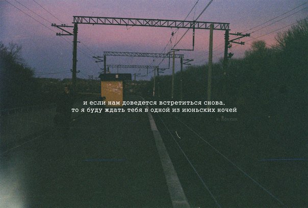 матисс (@unicron777) on Twitter photo 