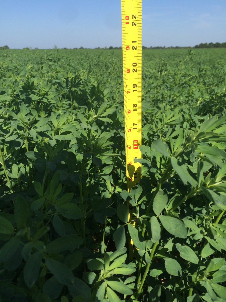 Travis Watson tweet media