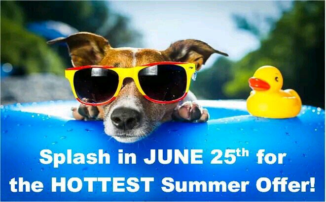 Carlosjaimes213's tweet photo. Come to @Sprint in Brighton this Saturday.  #sprintsaysthanks #getfast @phncntking @ericfastvp @Sprint4Denver https://t.co/bzMcwZfuDp
