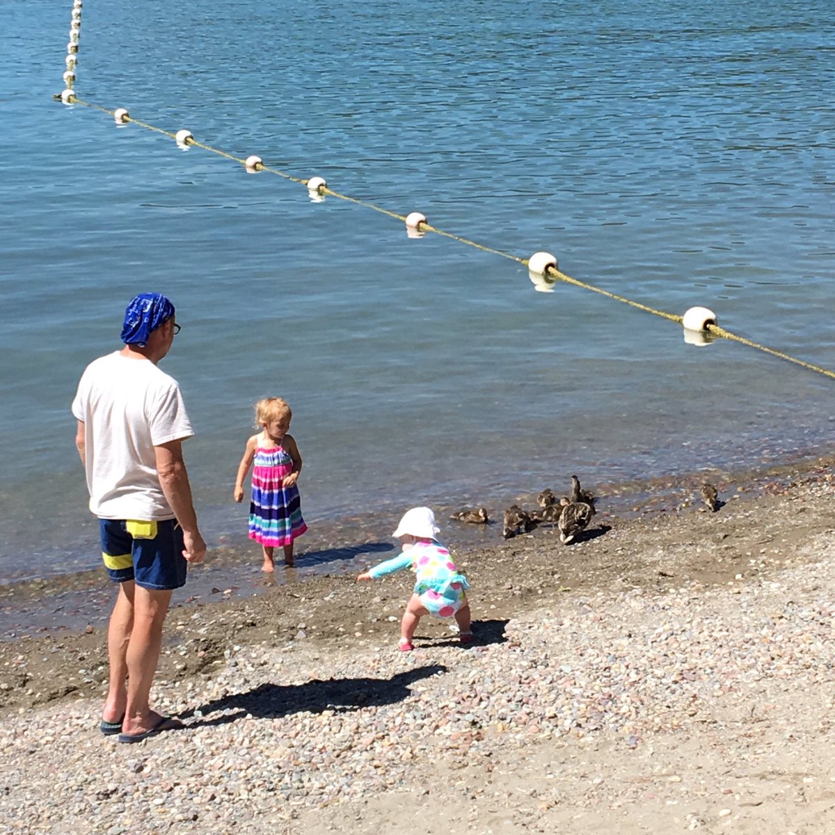PaddlefishSport's tweet photo. It's a beautiful day at city beach in Whitefish! Have Burly's for lunch then come to Paddlefish and hit the water! https://t.co/pjtUnXyw3v
