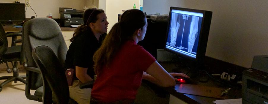 TryonEquine's tweet image. Our new interns have arrived! Learn more about them on our website! - goo.gl/nwnpJm