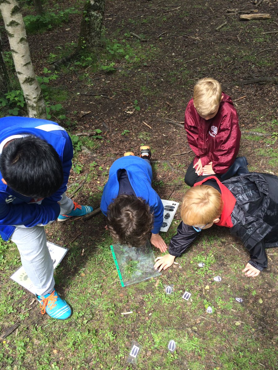 Comely_P3's tweet photo. What animal left clues at the crime scenes? We used the footprints, skulls &amp; 'poop' to work out what had happened! 😊 https://t.co/cUa2GGWtPW