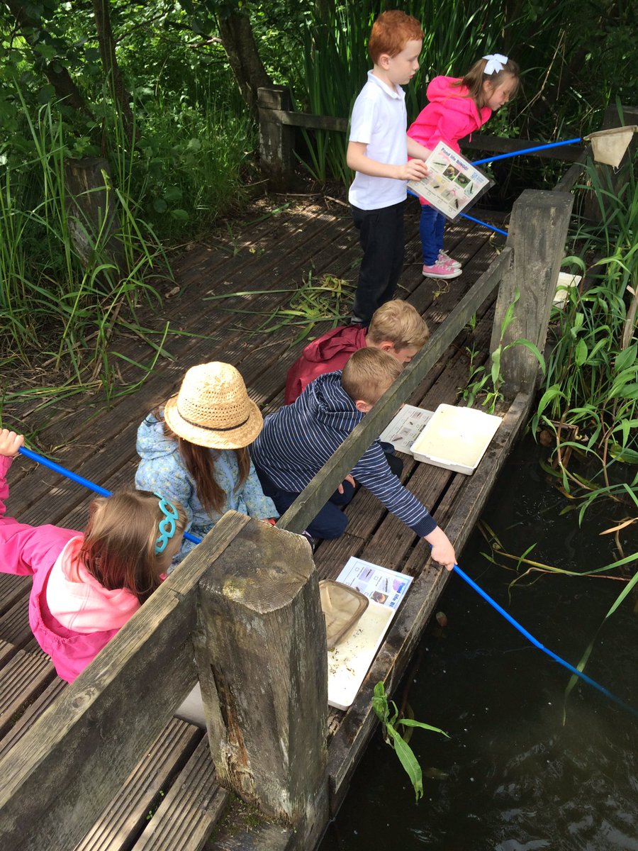 Comely_P3's tweet photo. Pond dipping!! 🐠🐟🐡 #jupiterwildlifecentre https://t.co/ehfj2Qj370