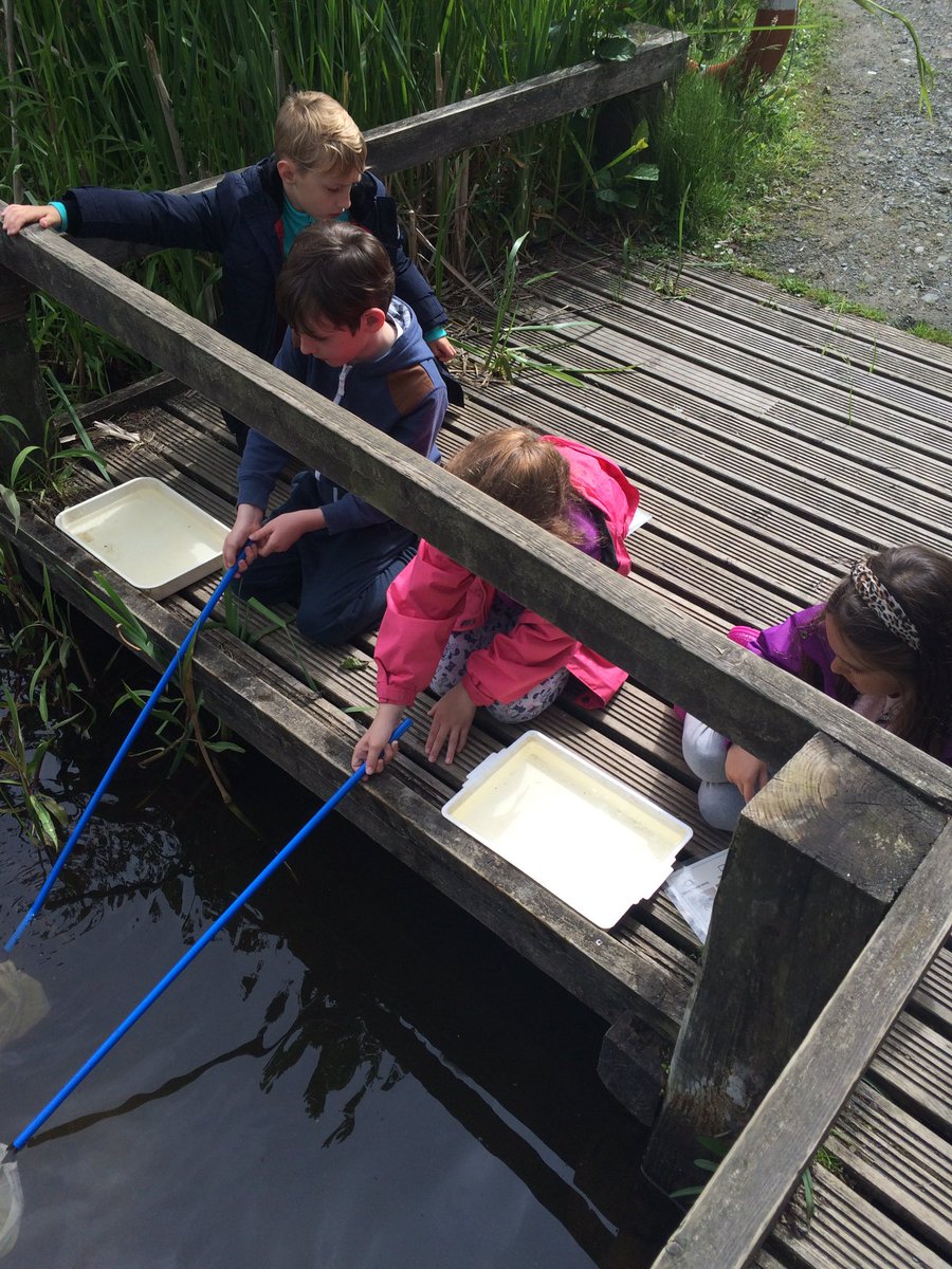 Comely_P3's tweet photo. Pond dipping!! 🐠🐟🐡 #jupiterwildlifecentre https://t.co/ehfj2Qj370