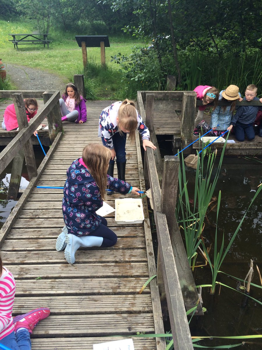 Comely_P3's tweet photo. Pond dipping!! 🐠🐟🐡 #jupiterwildlifecentre https://t.co/ehfj2Qj370