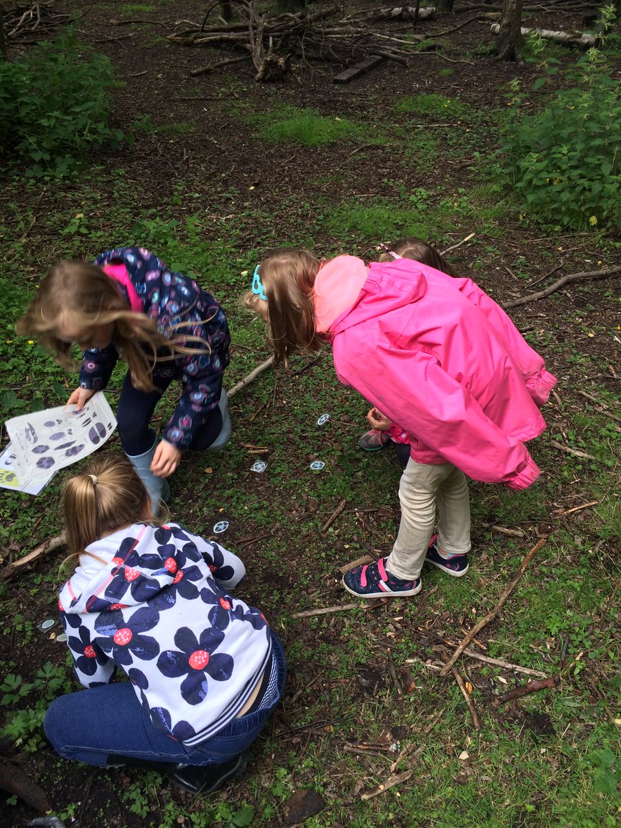 Comely_P3's tweet photo. What animal left clues at the crime scenes? We used the footprints, skulls &amp; 'poop' to work out what had happened! 😊 https://t.co/fLqWHSuAMy