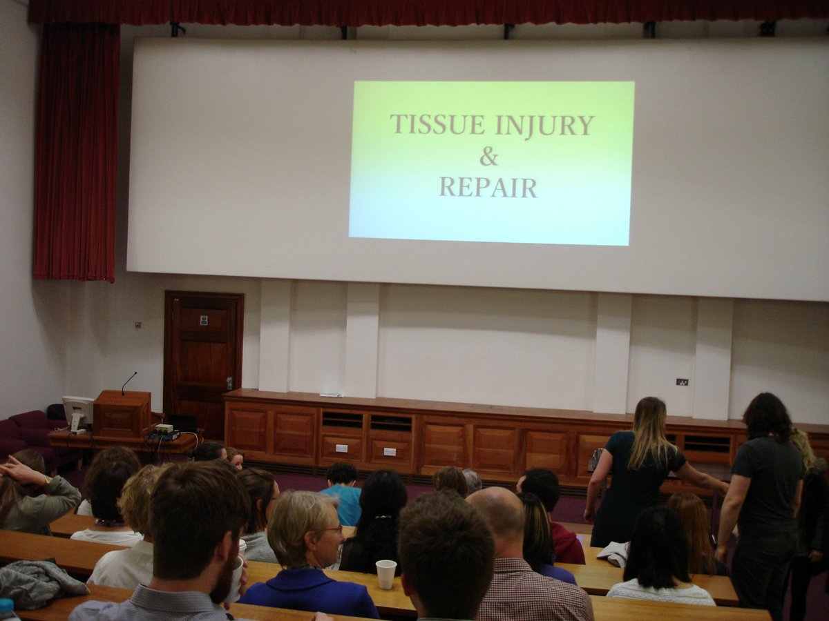 just like students .... before the course starts