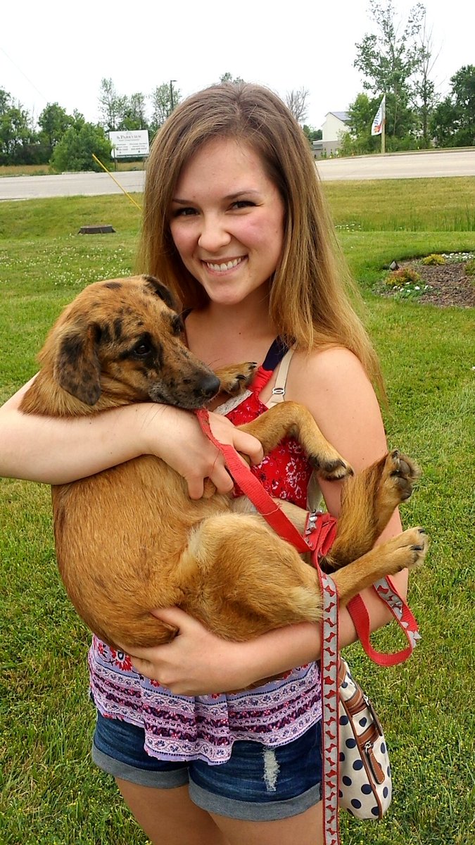 22jamiesue's tweet photo. I'm gonna be a dog mom!!!! https://t.co/DIljBpsXei