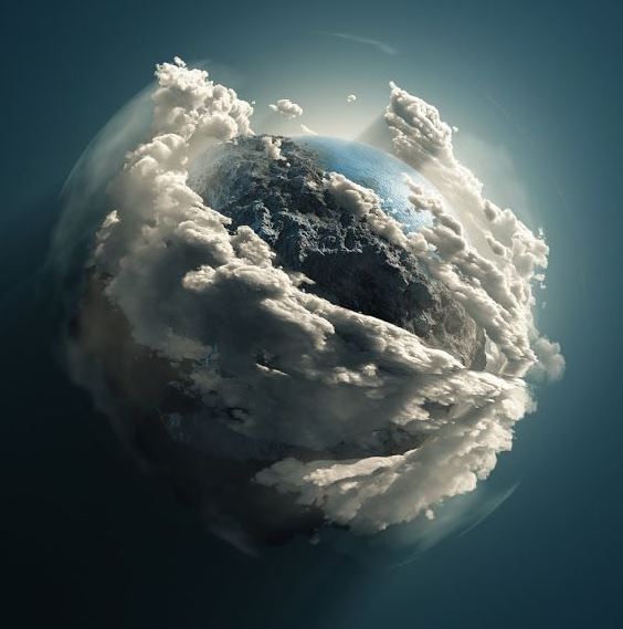 EarthisHeavenly's tweet image. Rescue.  Rehabilitate.  Release.