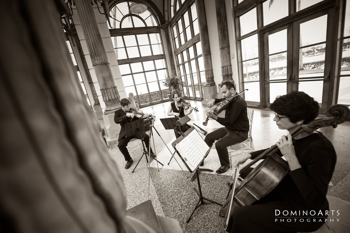 DominoArtsPhoto tweet picture