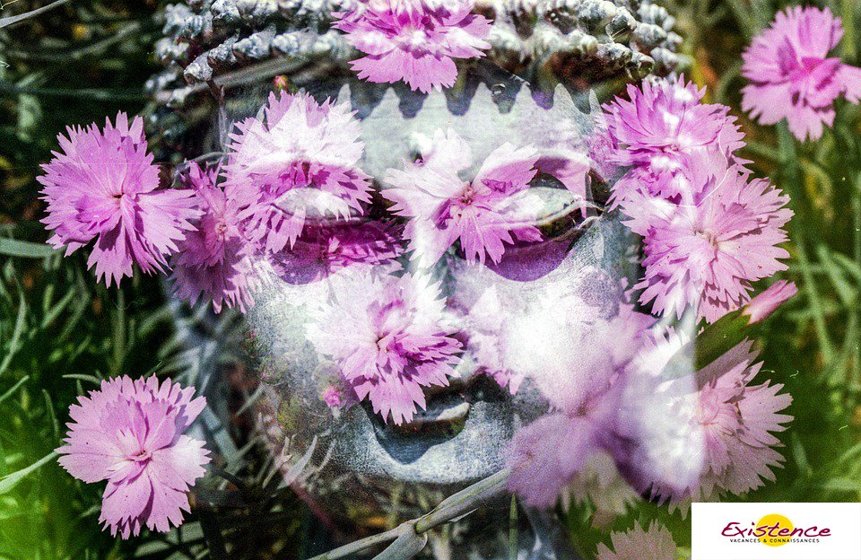 Existence_fr's tweet image. STAGE D'ÉTÉ : SOUS LE SIGNE de l'INTUITION  Inscriptions: ow.ly/x6Au301pBmZ