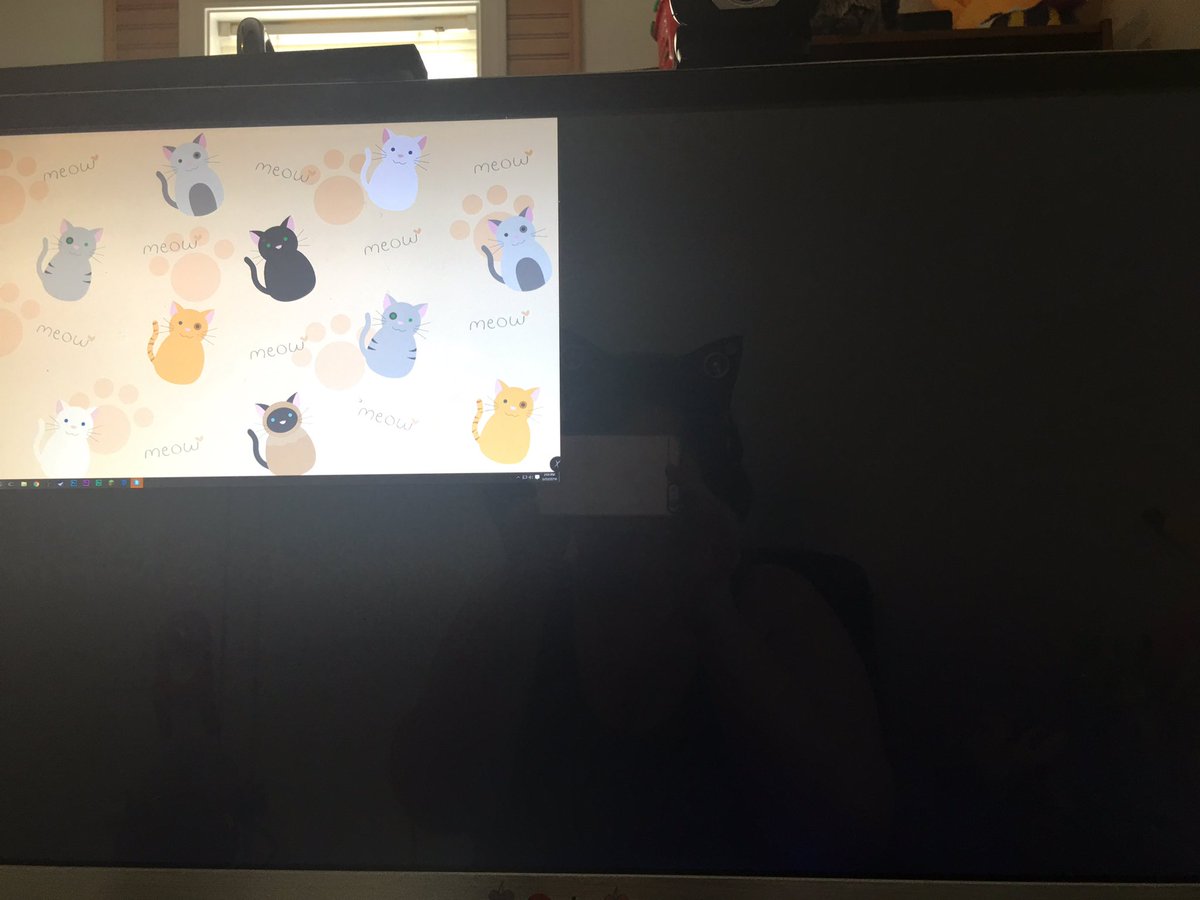 Go_StarFly's tweet image. My computer update itself and this happened. How do I fix? 😭