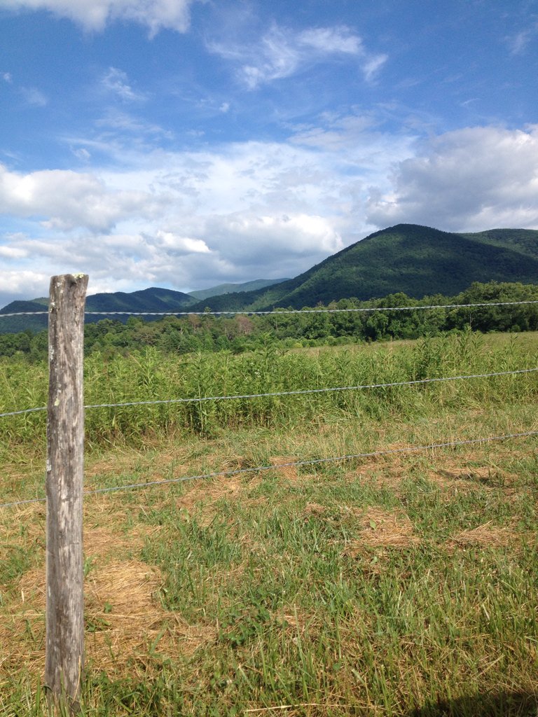 Sonia_Lynnette's tweet photo. Love this view #cadescove #smokymountains https://t.co/0XCt5DT0Y7