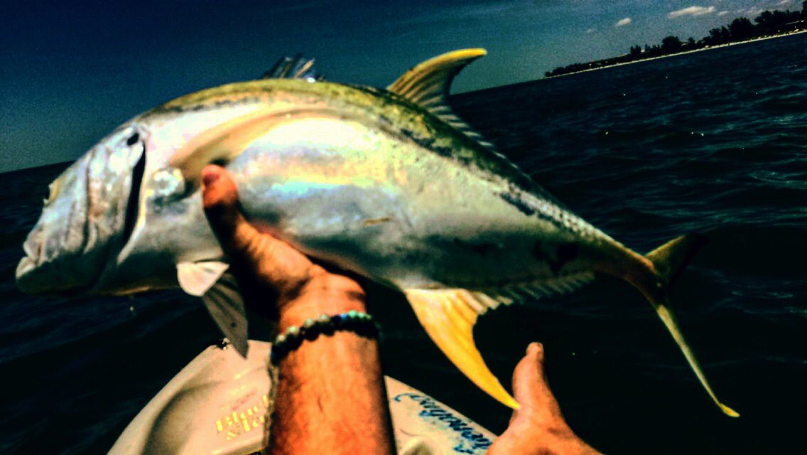 alexmoore174's tweet photo. Jack in the yak https://t.co/M0xtQjbQmf