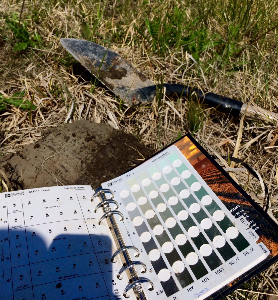 peatperformance's tweet photo. Identifying #HydricSoils is just one of the steps in #wetland delineation! #REDOX #Gley #mottles #Munsell #ISLLife https://t.co/5jlCnw4sYD