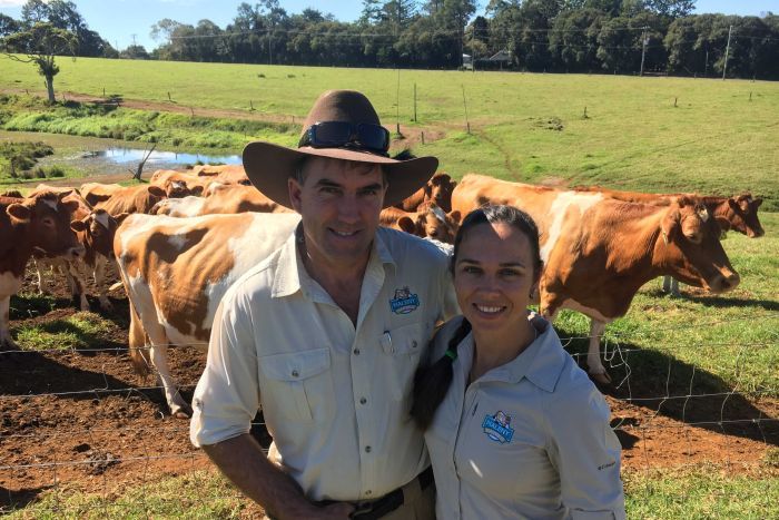 Surge in consumer demand gives dairy farmers hope - theglobaldairy.com/noticias/surge…