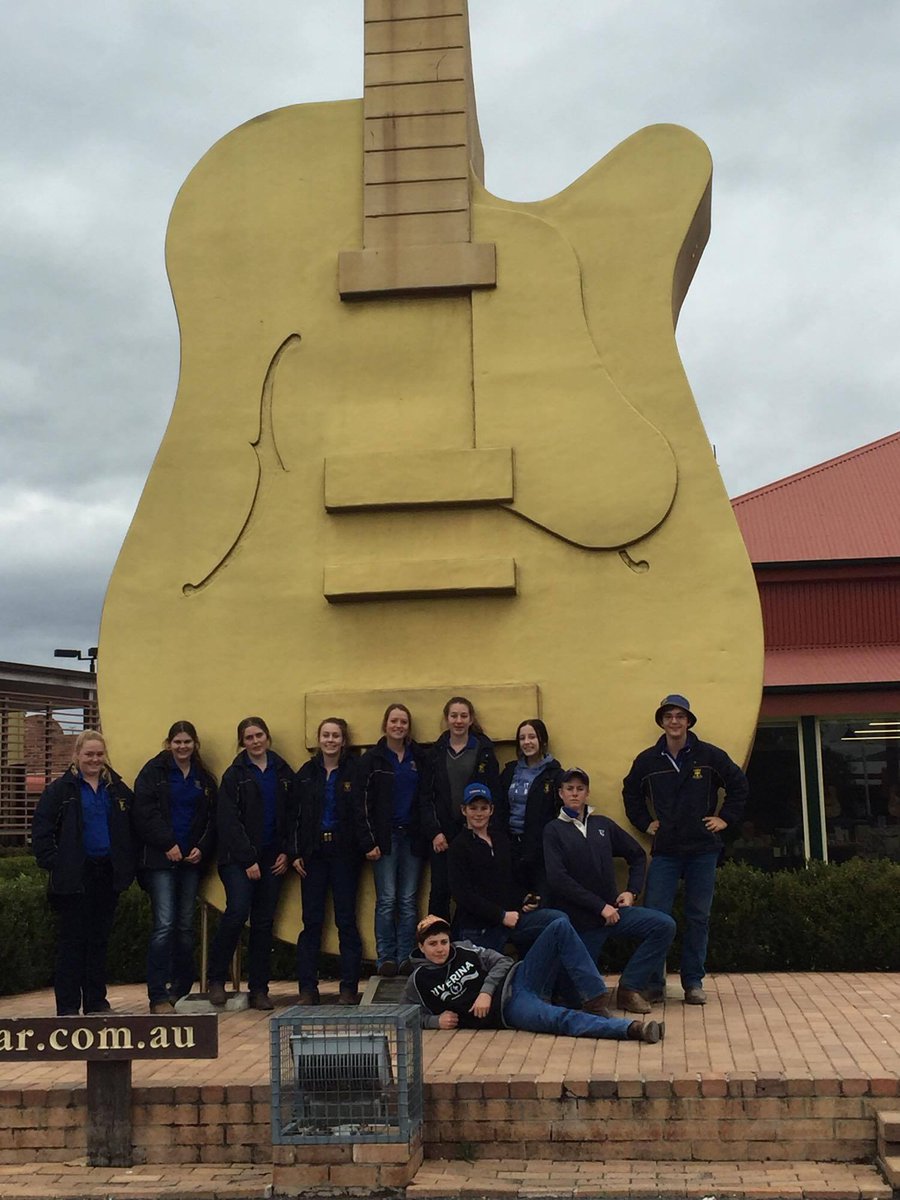 Yr 10 Animal Management went to Tamworth to Farrer to watch the Bull Sale in preparation for the Ram Sale @ YAHS