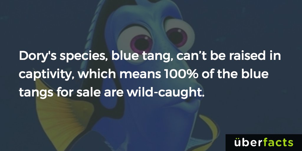 UberFacts's tweet photo. https://t.co/9D1vUSbDJj