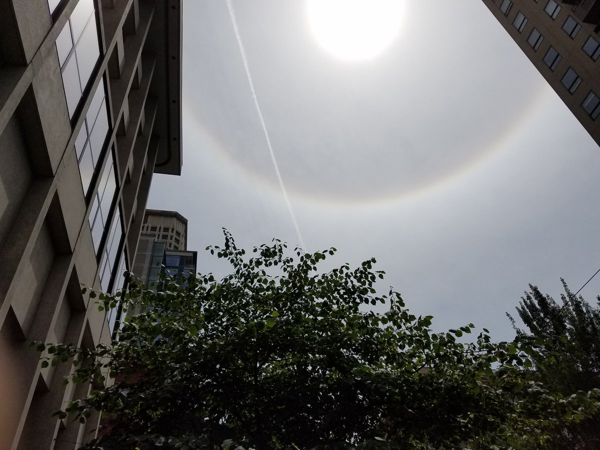 kagasser's tweet photo. Sun halo in Seattle earlier today https://t.co/2uNw7iR1XX