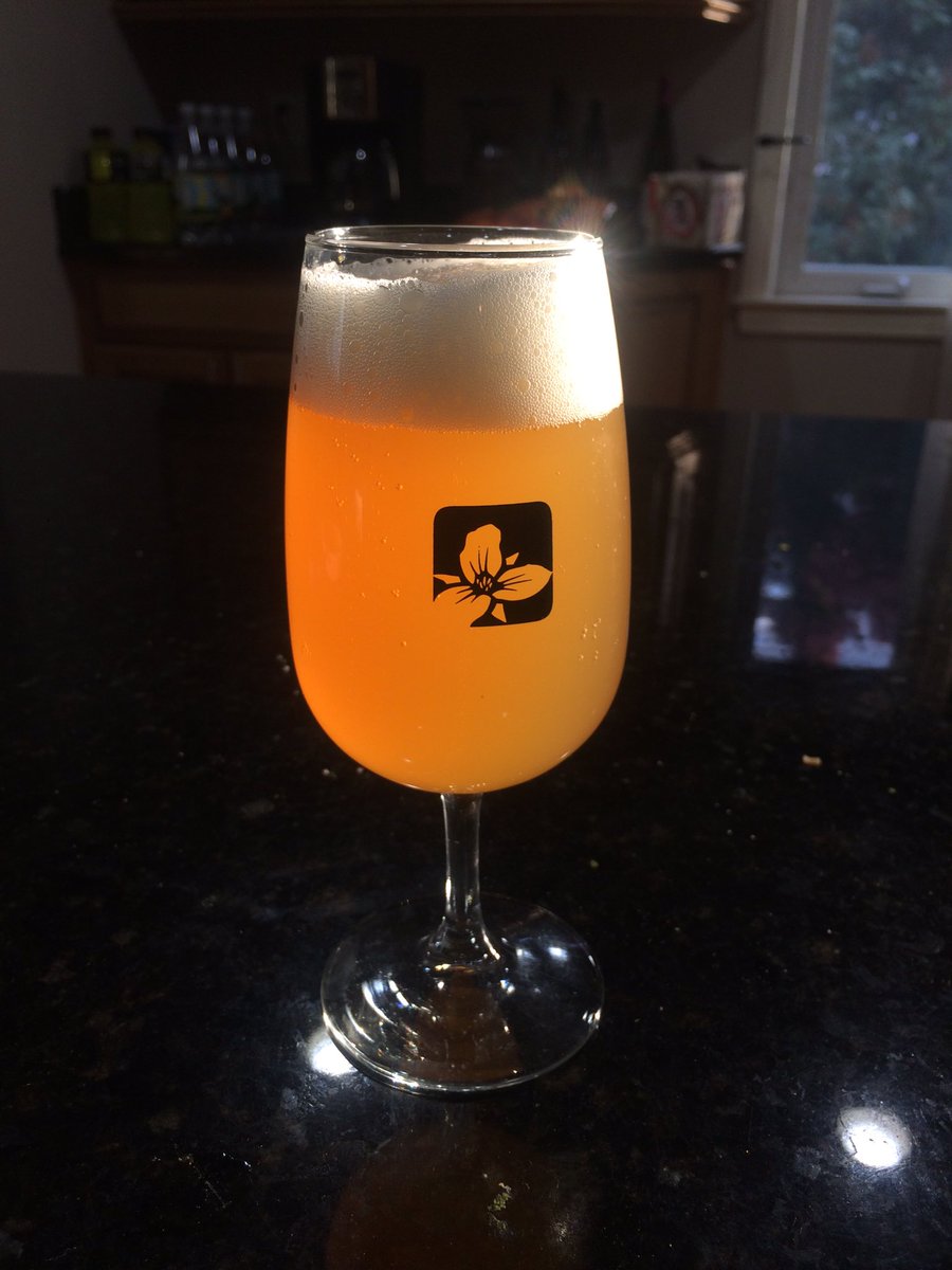 TheBeerTalk's tweet photo. The sun happened to catch my glass of Dialed In just right. @trilliumbrewing #beertalk #craftbeer https://t.co/2o5EHECF8k