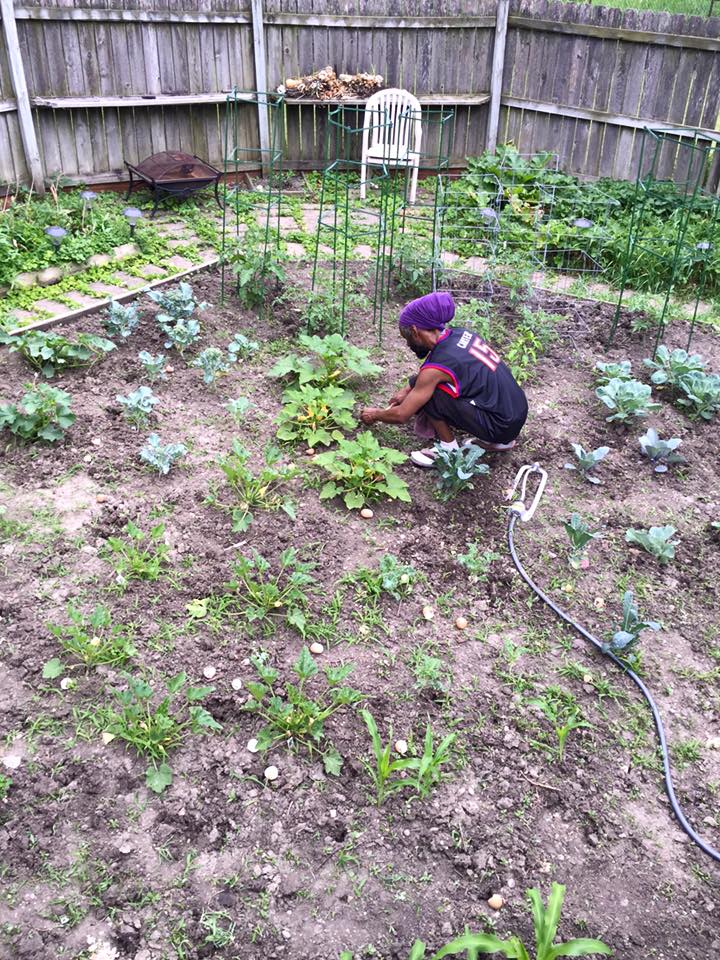 NattyNation's tweet photo. 🌱"If you wanna see a brand new world, time to plant the seeds."🌿 #JMaxx #WednesdayWisdom 🎶 https://t.co/dVJUSeAU8i https://t.co/7egw2dfBPw