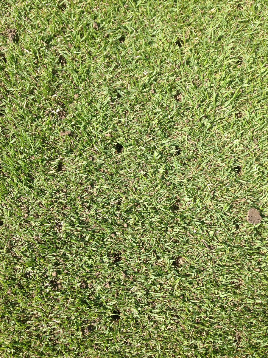 Ski_KC's tweet photo. Blazing hot week, aerated 14 acres of fairways, installed new pump motor, and hit dry spots with Tricure. #GolfOP https://t.co/FogtHoLhIy