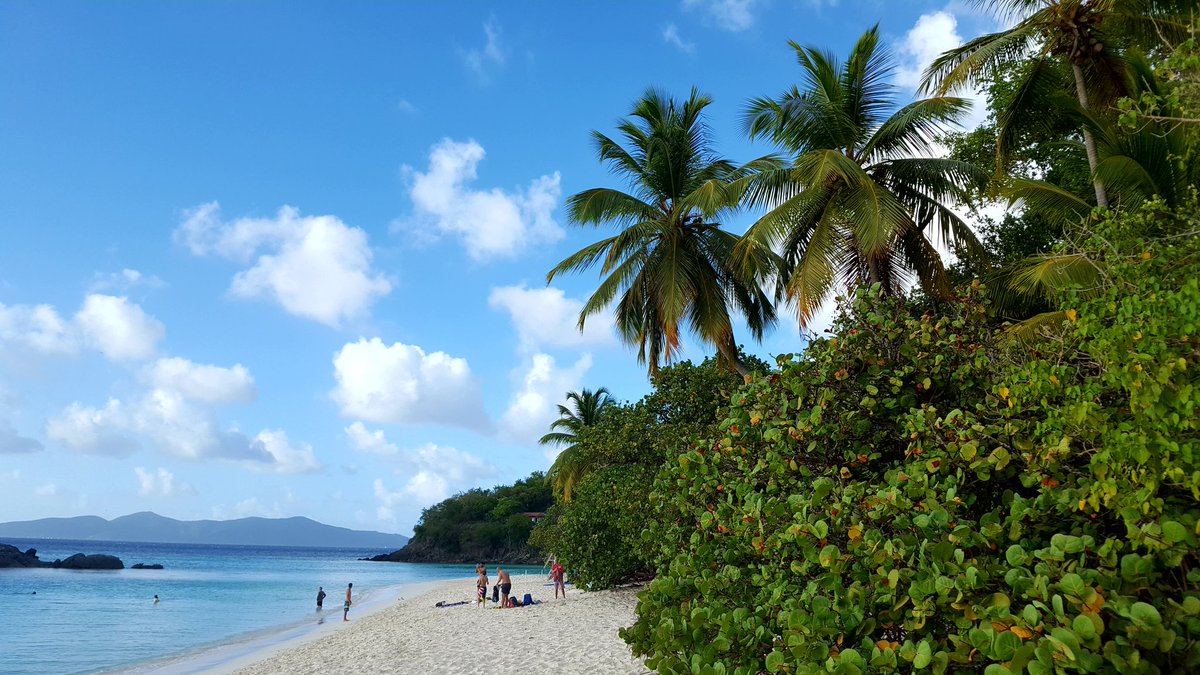 Nice afternoon at Trunk Bay. After 4 the beach clears out &amp; you share it with just a few. #stjohntraveltips #usvi 🌴🌊