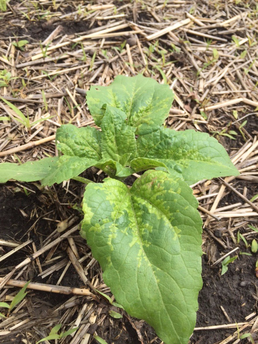 Troy Turner tweet media