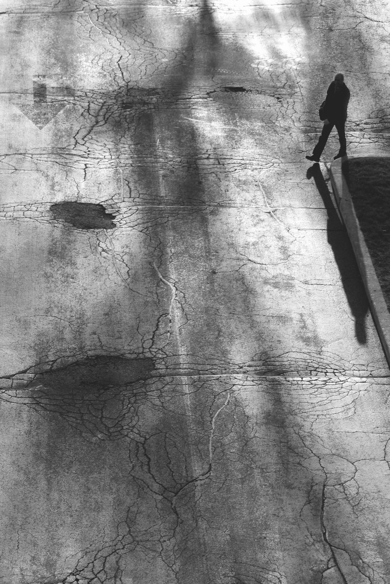 JMPhotography tweet media