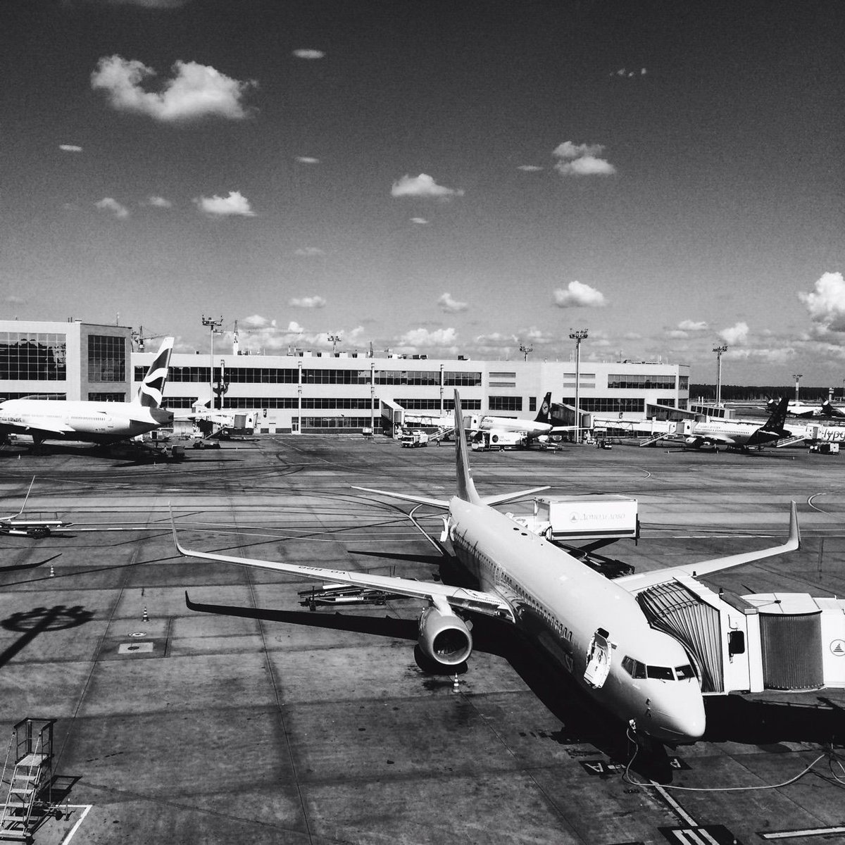 Vissify Co. tweet media