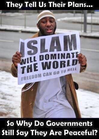 HilClin4WOPriso's tweet photo. @UnPoliticalPrty @sepepper @JudgeCarter @SpeakerRyan #DumpRyan #CrooksOut #VoteLeave #VoteTrump #ISISOut #NeverIslam https://t.co/CCYMDkPmRU