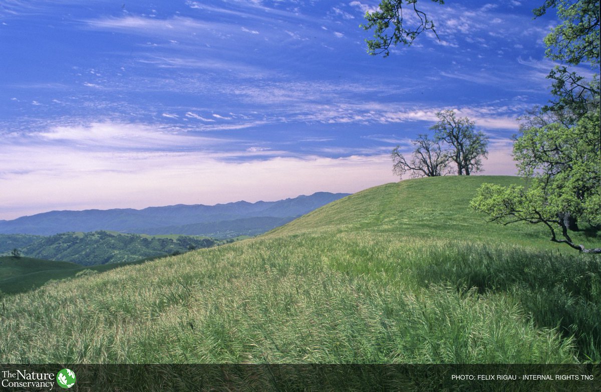 nature_org's tweet photo. In the face of huge environmental challenges, there is cause for optimism: https://t.co/vHqZAXZVkU https://t.co/C7RPNEn06u