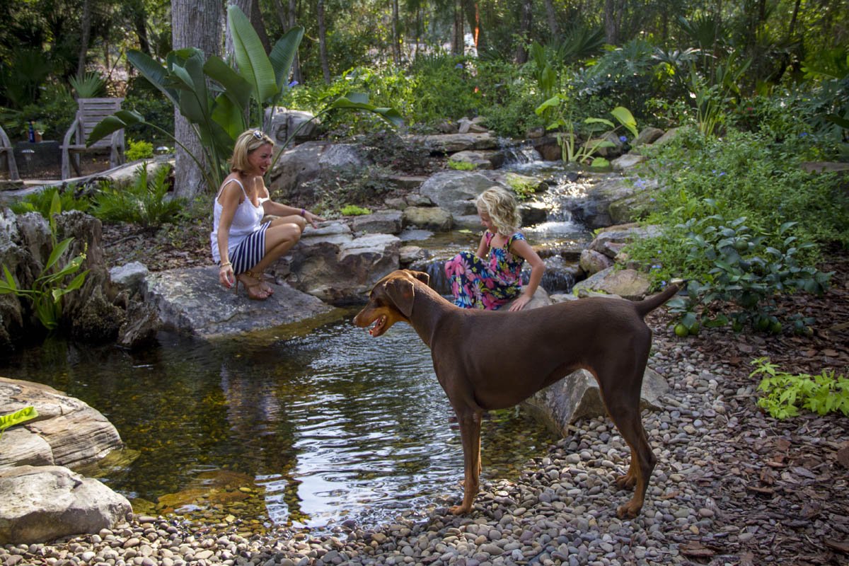 Creative edge treatments for ponds and waterfalls. bit.ly/Pond-Edges  #ponds #waterfalls #landscaping