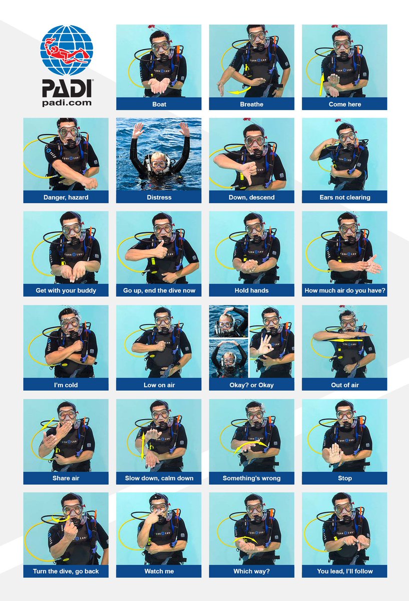 Image result for padi hand signals