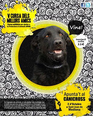 Aquest any ens vestim de groc! #Canicross i #Caminada #benèfiques per ajudar al Refugi APAN! T'esperem el 02/10