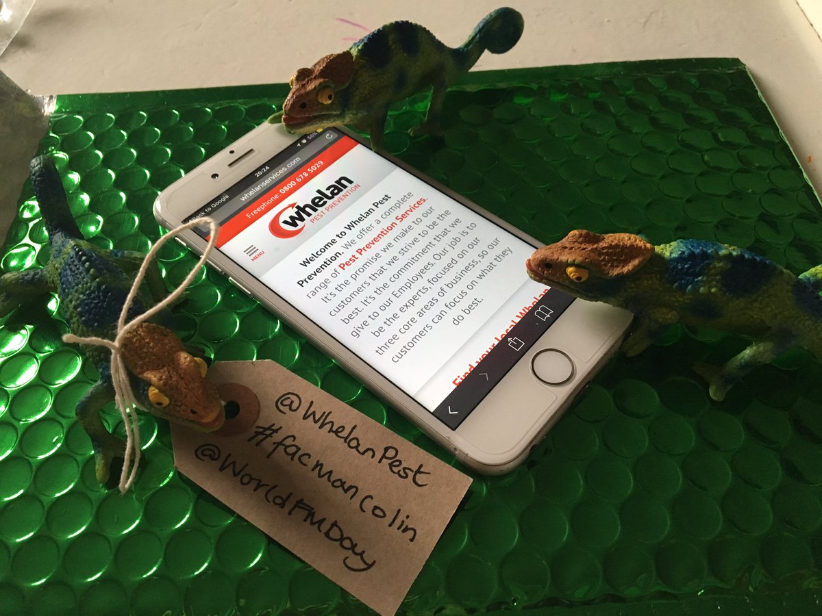 . <a href="/WhelanPest/">PLEASE UNFOLLOW</a> the #facmancolin recruits have been deployed! <a href="/WorldFMDay/">Global FM</a> #facman