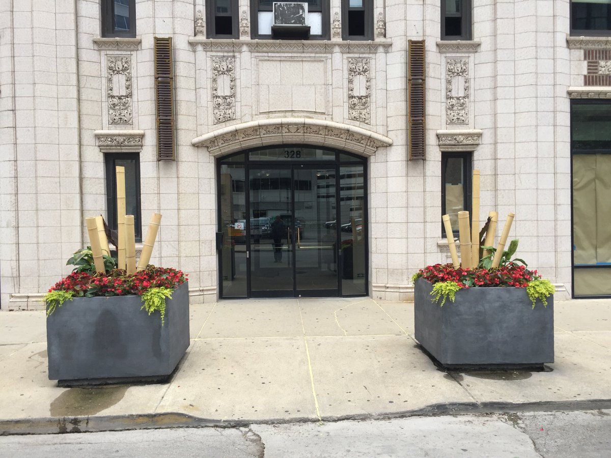 LCM_CurbAppeal's tweet photo. Summer Annuals at 328 S. Jefferson, #Chicago #Summer Color https://t.co/KfDly7NeuM
