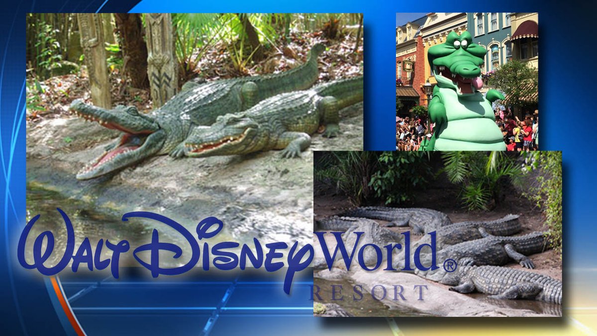 #Disney alters theme park rides, attractions after boy killed by alligator bit.ly/28Np3i4?utm_me… https://t.co/JlJdpaDjsJ