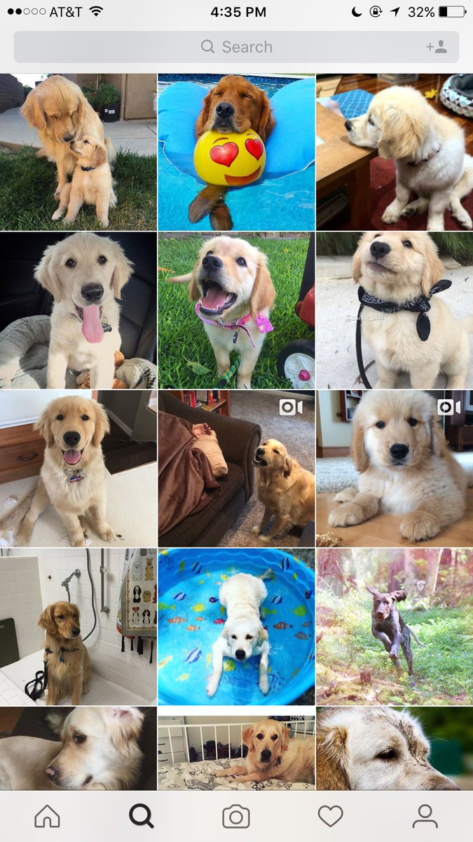 ambrinkerhoff's tweet image. My Instagram discover page... 🙄🙄🙄