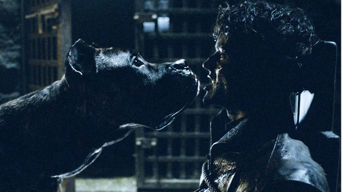 GoT_Tyrion's tweet photo. Always feed your dogs #WednesdayWisdom https://t.co/mfqGHIZua1