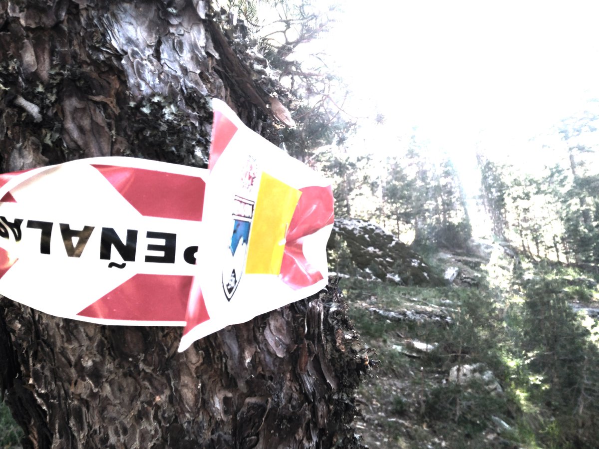 GTPenalara's tweet photo. Larga jornada la de hoy, mañana ➕ y mejor.
Dejando el camino listo para vosotr@s.
Marcaje #GTP16 #TP60k #CNN https://t.co/3D1QuRpHFI