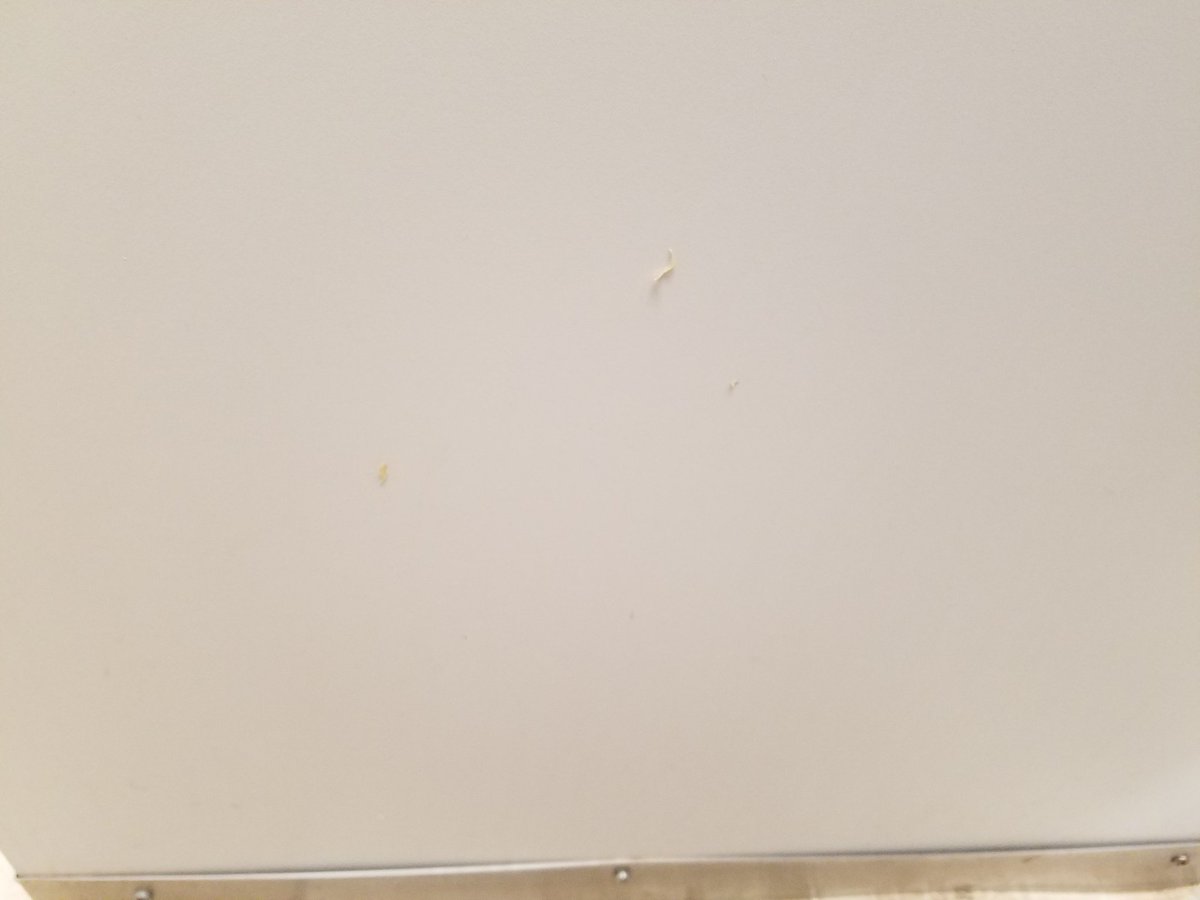 Nothing says "professional work environment" quite like boogers on the stall wall.
