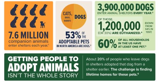 Sobering stats on the need for dog adoption in this country. orv.is/28QhuN5 #dogs #dogadoption